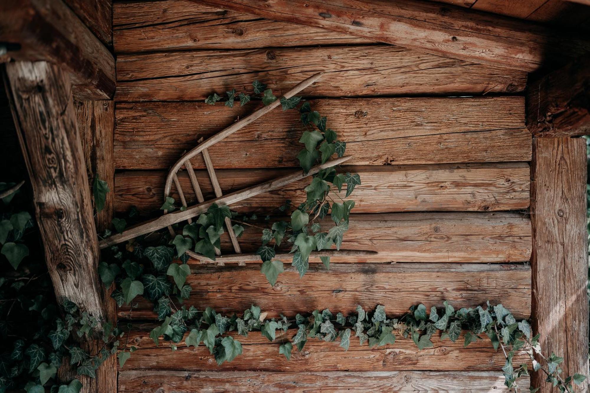 Alpenappartements Cristall Ehrwald Dış mekan fotoğraf